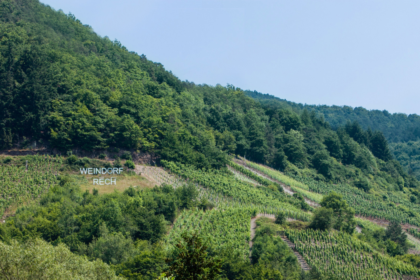 Weingut